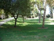 Garden, Home and Party: Arbor Day 2014