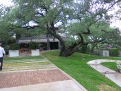 Garden, Home and Party: Arbor Day 2014