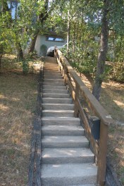 Garden, Home and Party: Arbor Day 2014