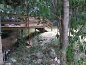 Garden, Home and Party: Arbor Day 2014