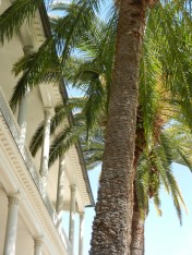 Garden, Home and Party: Arbor Day 2014