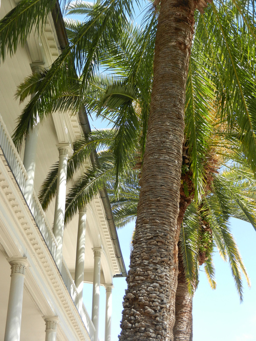 Garden, Home and Party: Arbor Day 2014