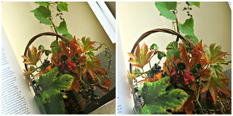 Garden, Home and Party: ikebana