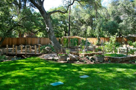 Garden, Home and Party: Arbor Day 2014