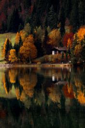 Garden, Home and Party: Arbor Day 2014