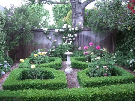 Garden, Home and Party: Spring Roses