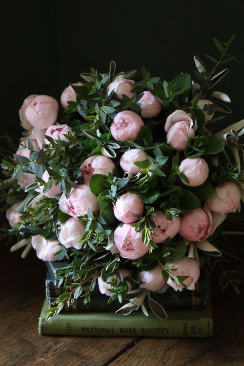 Garden, Home and Party: Spring Roses