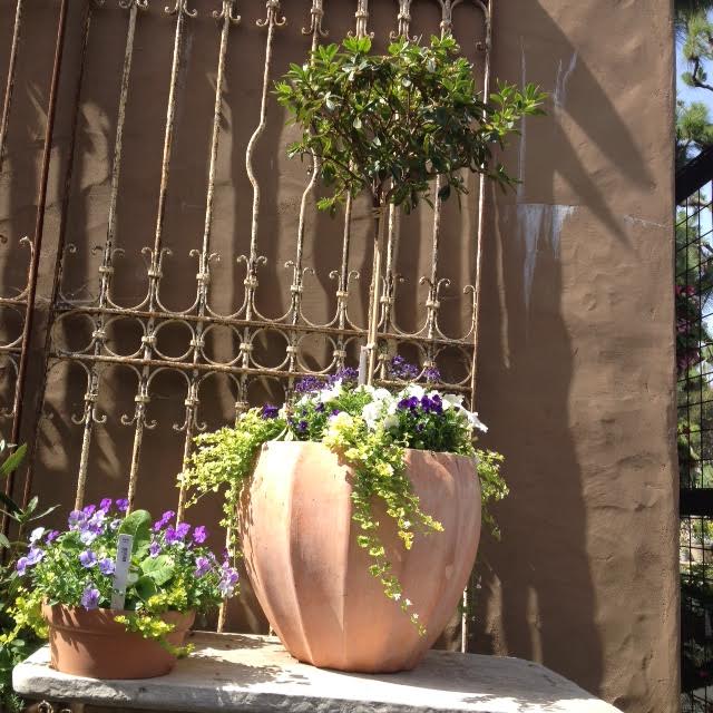 Garden, Home and Party: Celebrating Spring w Roger's Gardens