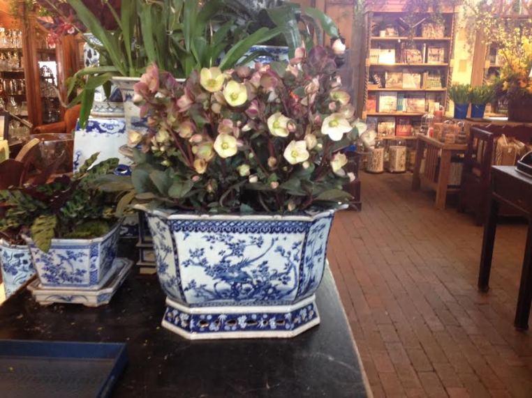 Garden, Home and Party: Celebrating Spring with Rogers