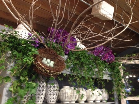 Garden, Home and Party: Celebrating Spring w Roger's Gardens