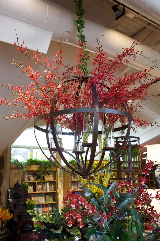 Garden, Home and Party: Celebrating Spring w Roger's Gardens