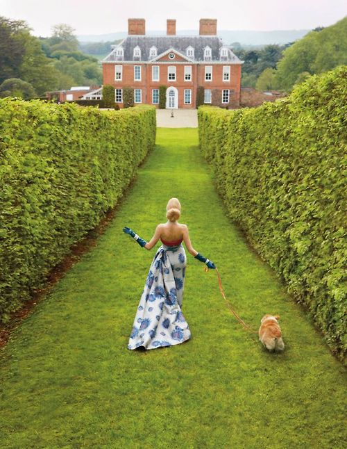 Garden, Home and Party: Favorites