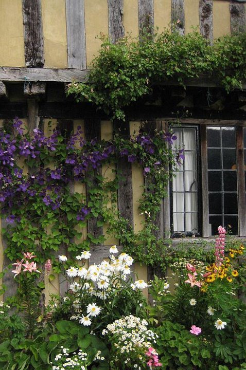 Garden, Home and Party: Favorites