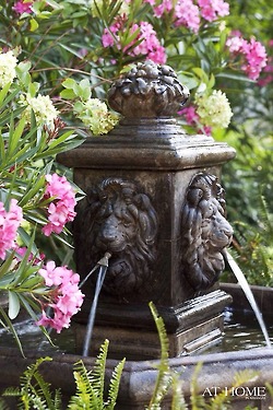 Garden, Home and Party: Favorites