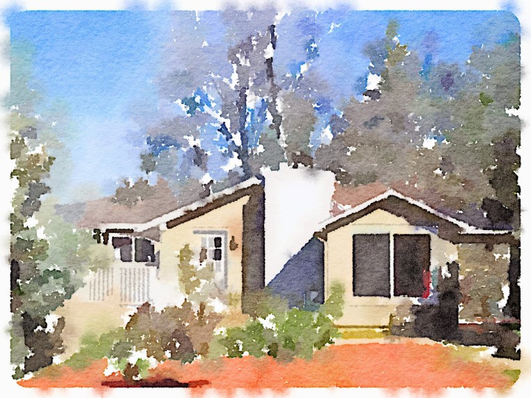 Garden, Home and Party: A new friend