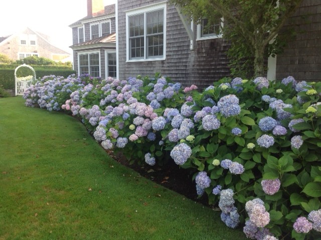 Garden, Home and Party: Summer's bounty