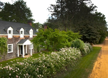 Garden, Home and Party: Melissa Erwin