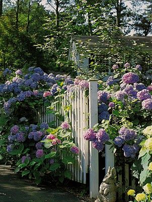 Garden, Home and Party: Summer's assets