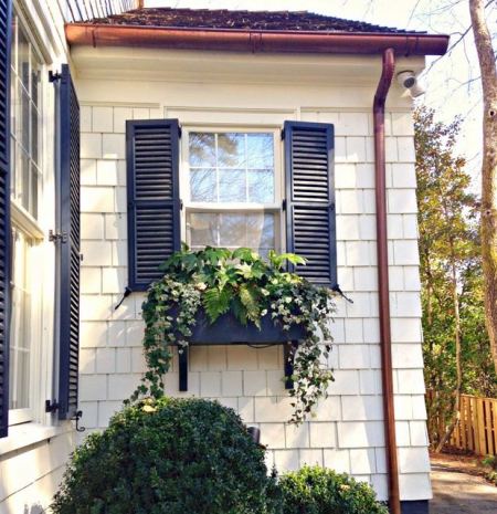 Garden, Home and Party: Designer Missi Erwin