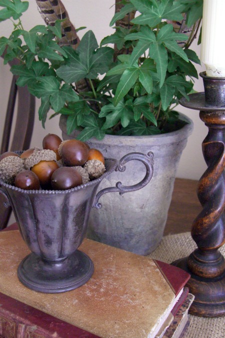 Garden, Home and Party: Acorns