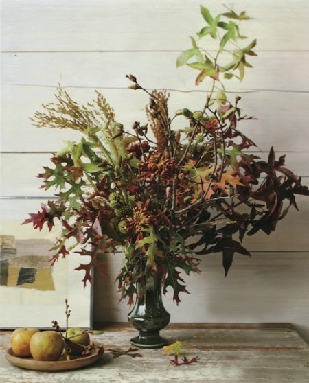 Garden, Home and Party: Acorns