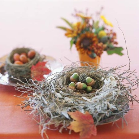 Garden, Home and Party: Acorns