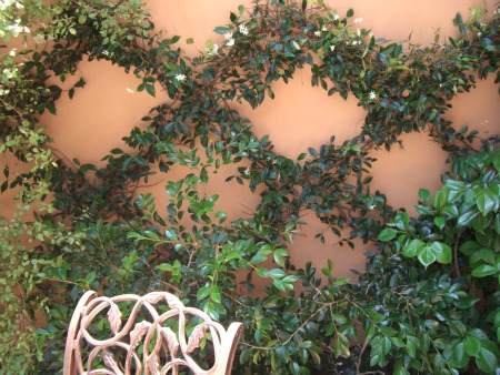 Garden, Home and Party: 500th Post