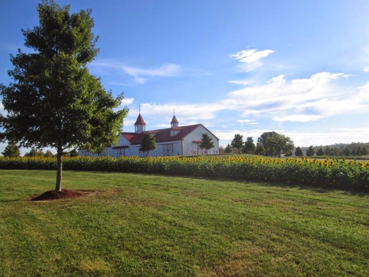 Garden, Home and Party: blog friends