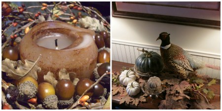 Garden, Home and Party: Acorns