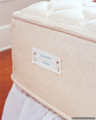 Garden, Home and Party: Organized