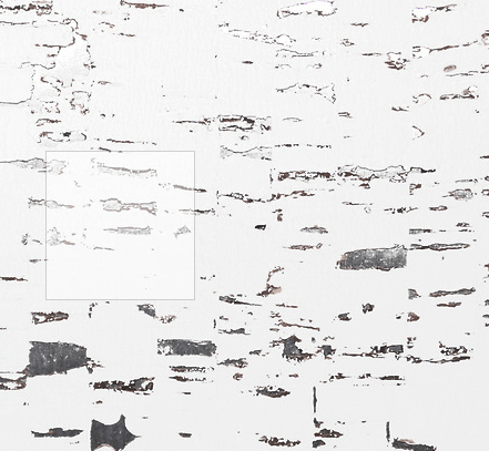 Garden, Home and Party:  Wallpaper