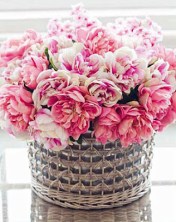 Garden, Home and Party: Stress and emotional duct tape