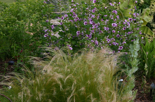 Garden, Home and Party: Gardening through a draught