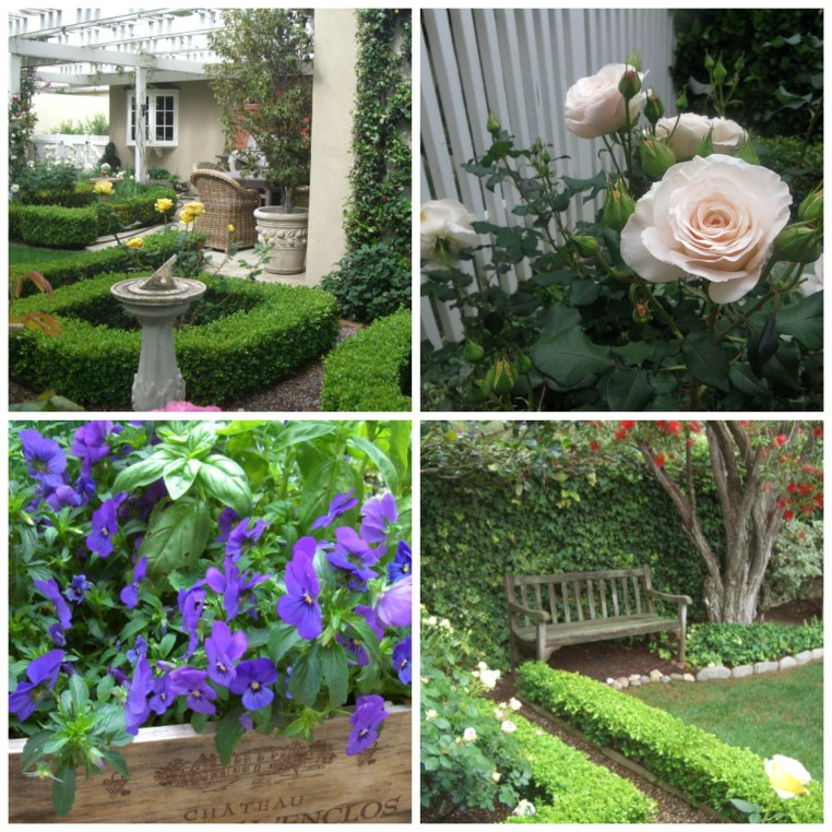 Garden, Home and Party: Gardening through a drought