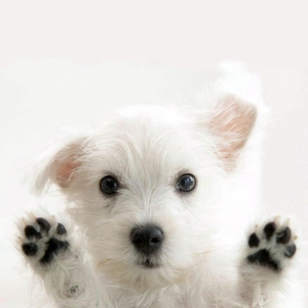 Garden, Home and Party: Winner and newsbreak