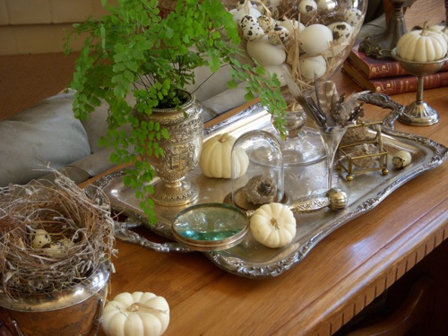 Garden, Home and Party: Vignette