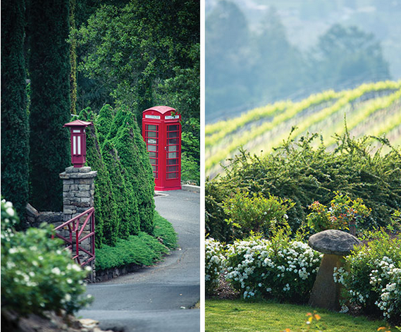 Garden, Home and Party: Wine month, CA