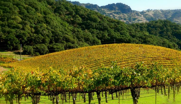 Garden, Home and Party: Wine month CA