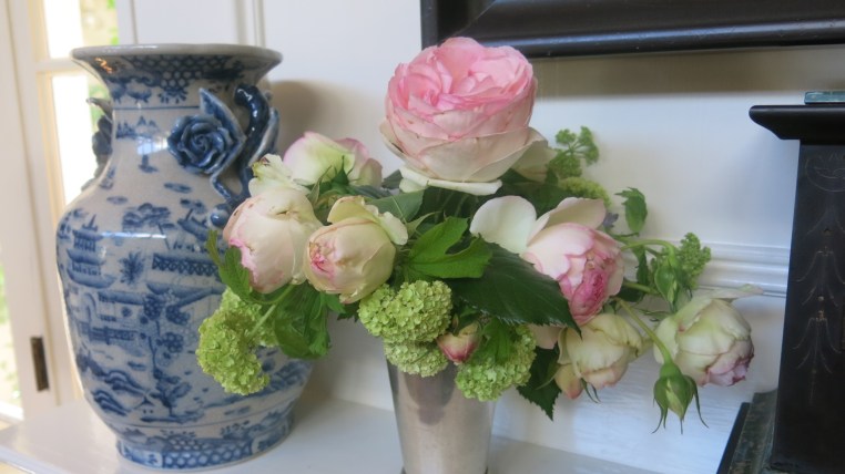 Garden, Home and Party: Blue and white, kindness