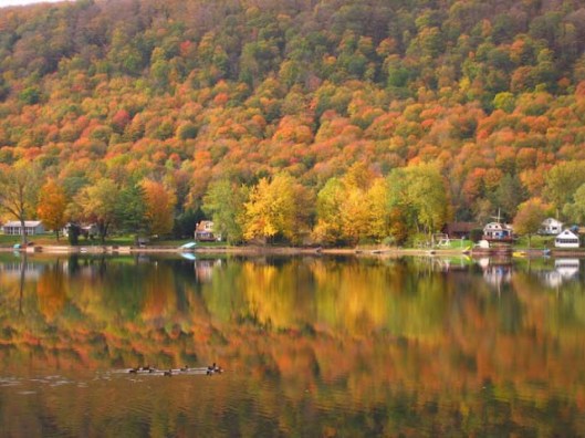 Garden, Home and Party: autumn entertaining