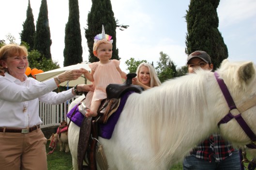 Garden, Home and Party