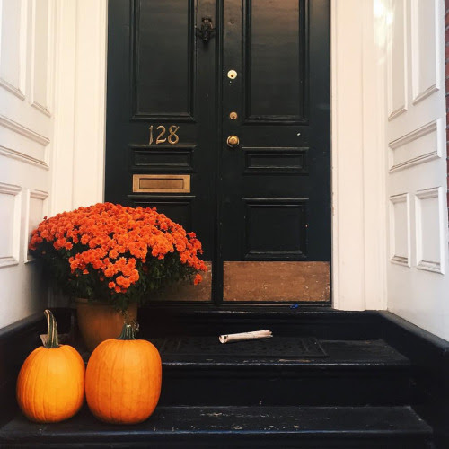 Garden, Home and Party - orange