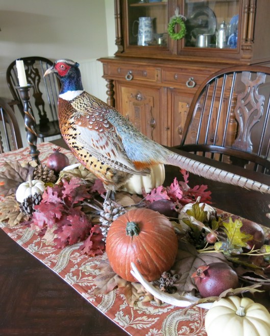 Garden, Home and Party - thanksgiving countdown