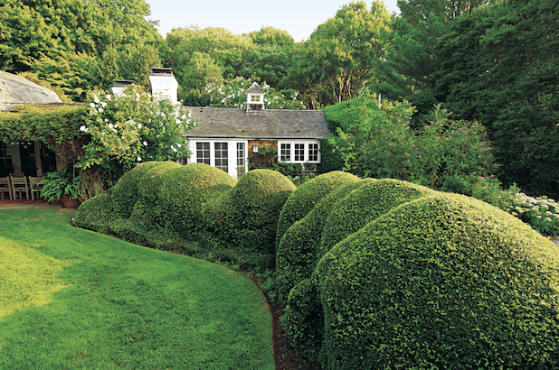 Garden, Home and Party: Happy New Year's Eve eve