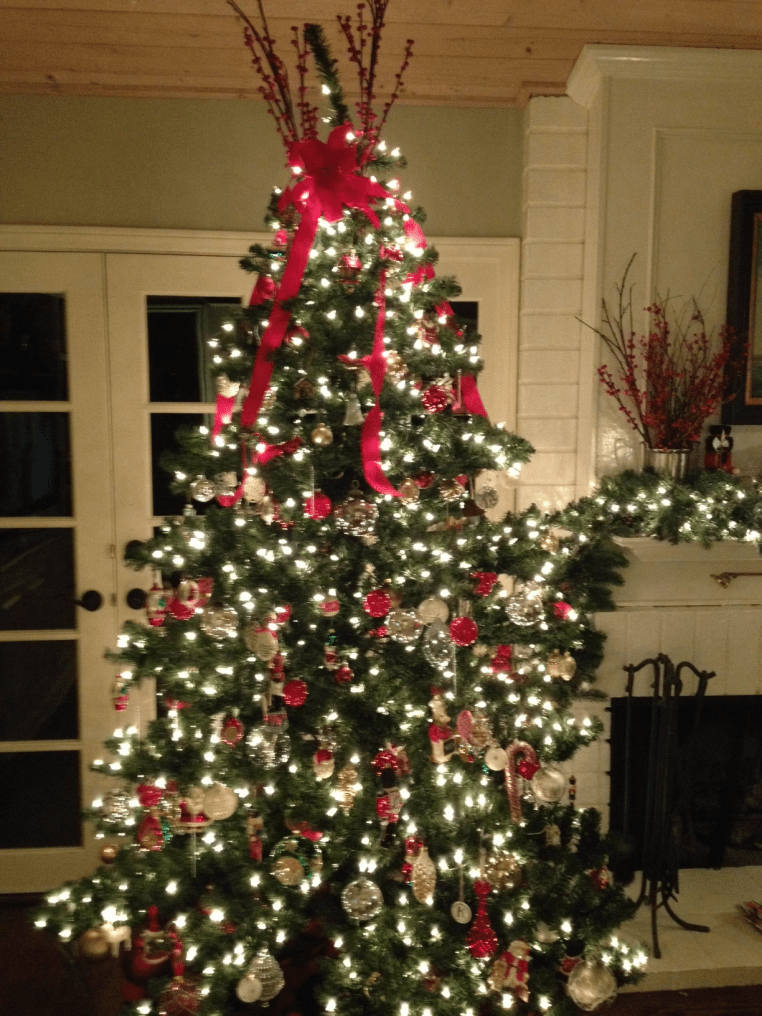 Garden, Home and Party: a simple christmas