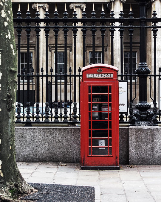 Garden, Home and Party: valentine's red