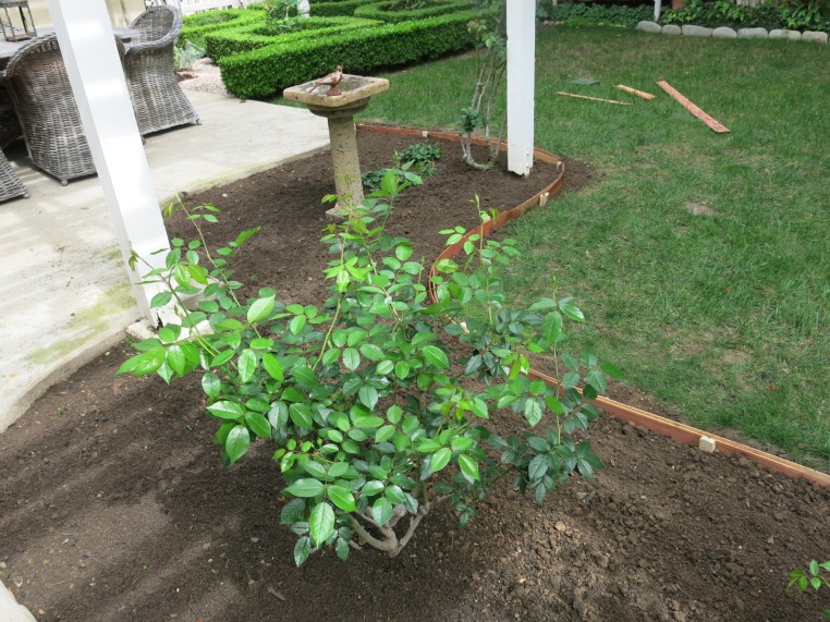 Garden, Home and Party: patio garden change