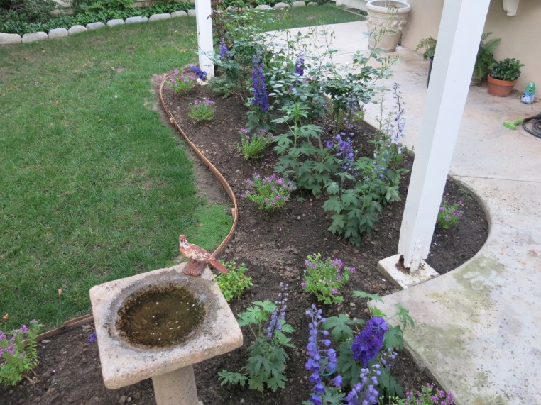 Garden, Home and Party: Patio garden, finally