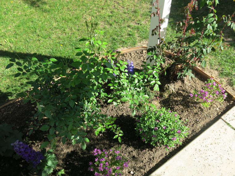 Garden, Home and Party: garden patio, finally