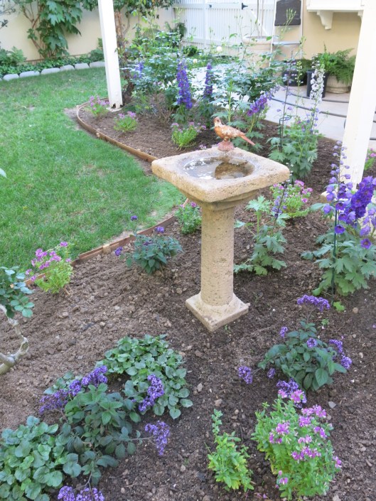 Garden, Home and Party: patio garden, finally